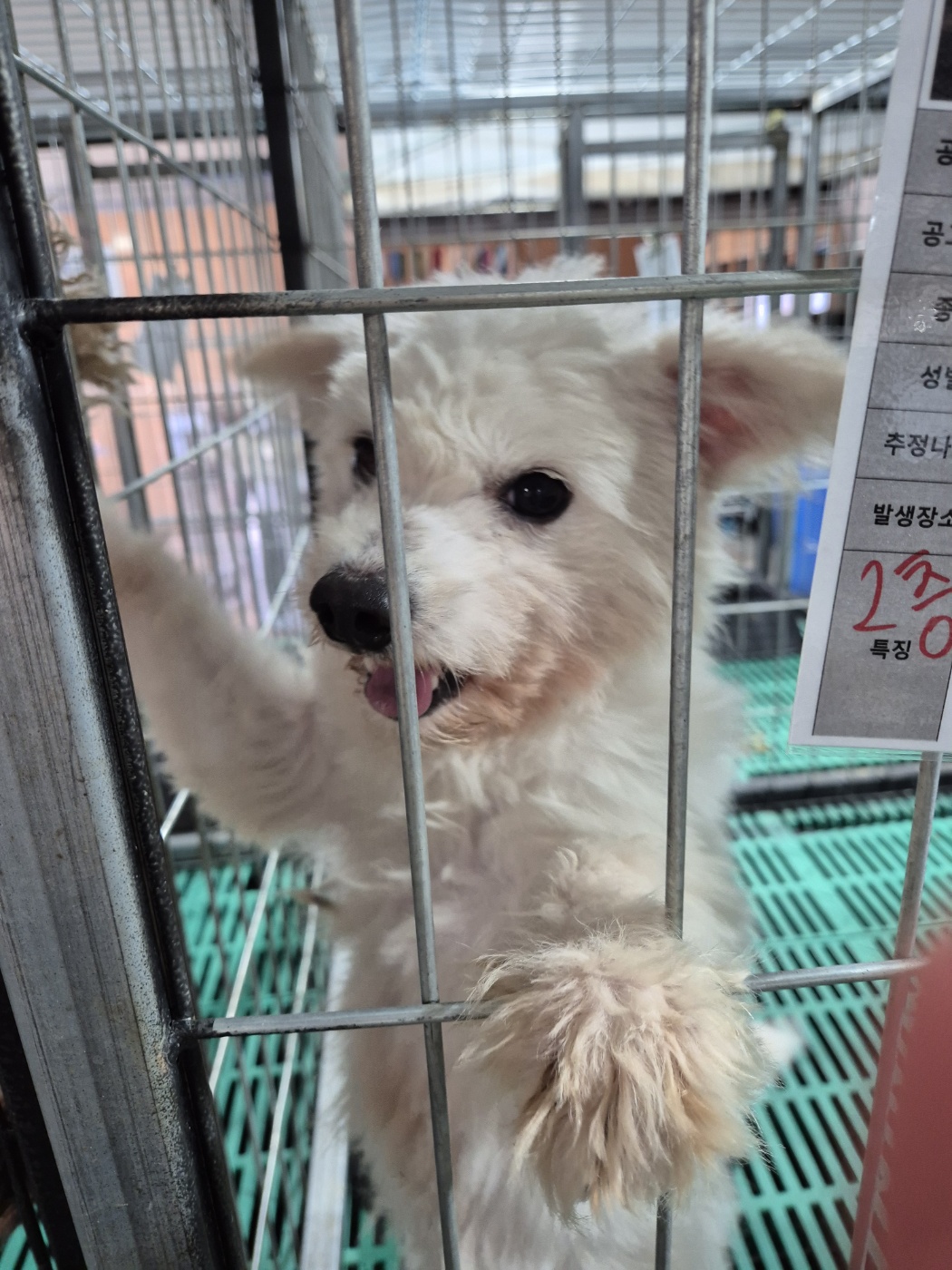 남양동물보호센터_441553202403997